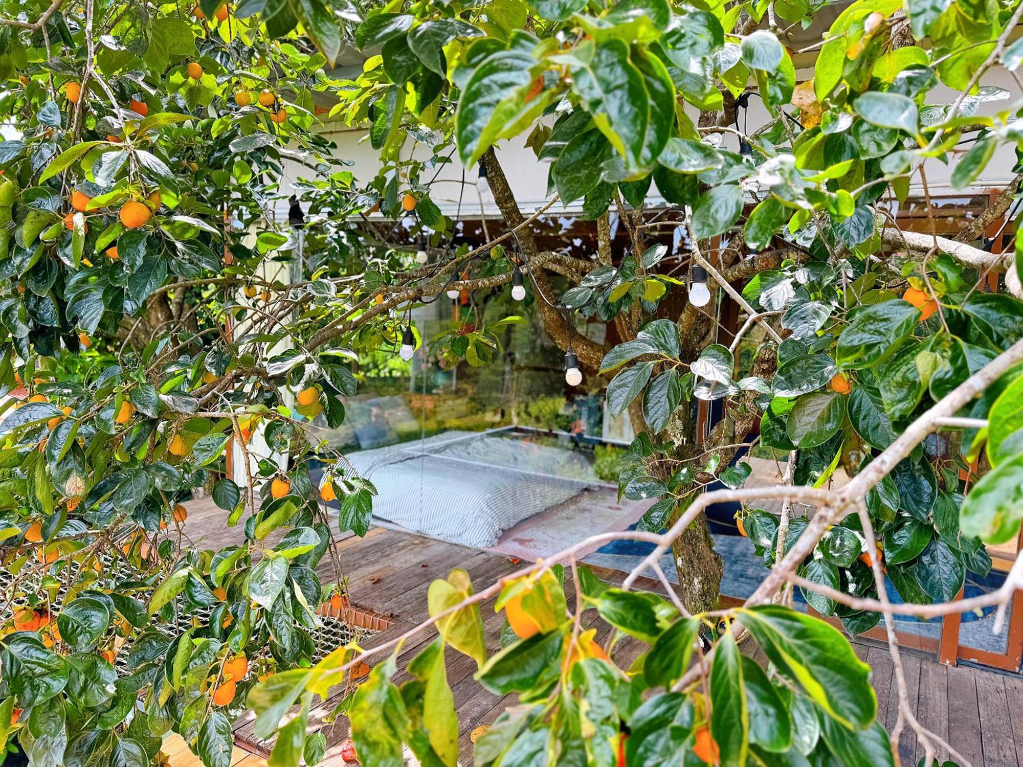 An Yen Villa Da Lat Kültér fotó
